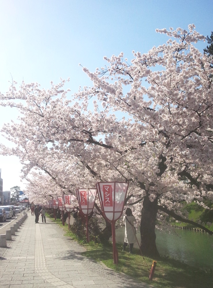 弘前公園外堀その１
