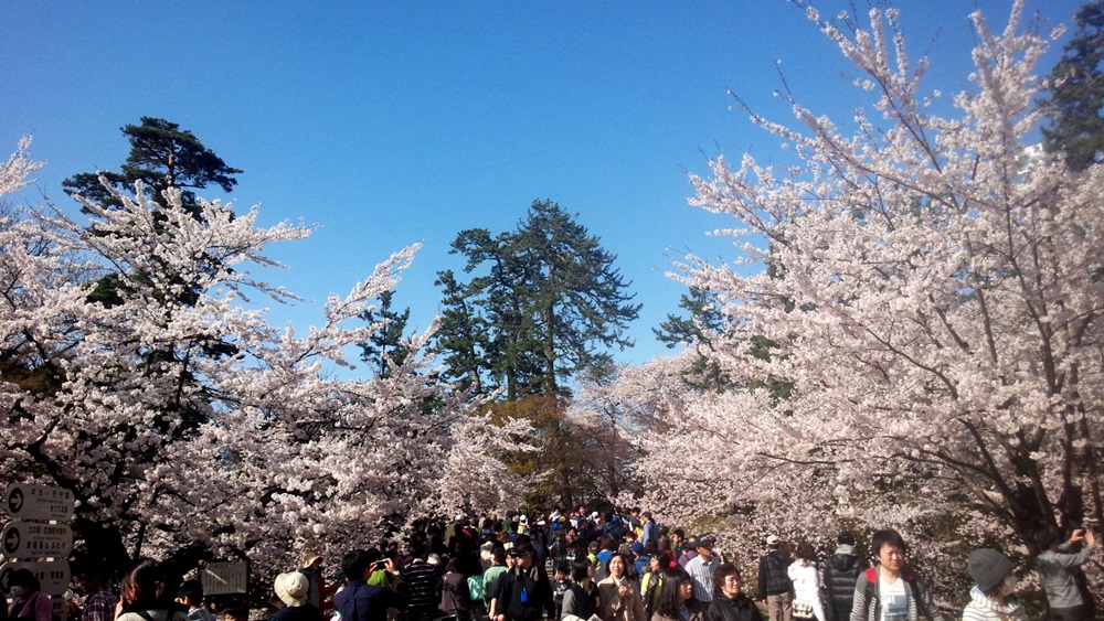 弘前公園内２０１６